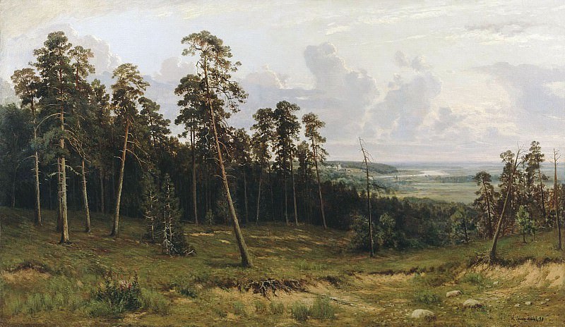 Богатый лог 1877 90х148