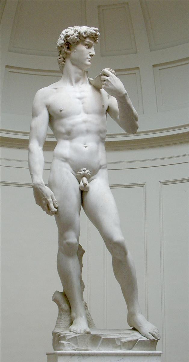 Давид, 1501 - 1504