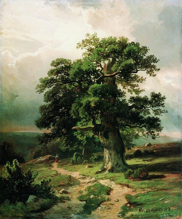 Дубы 1865 41х34