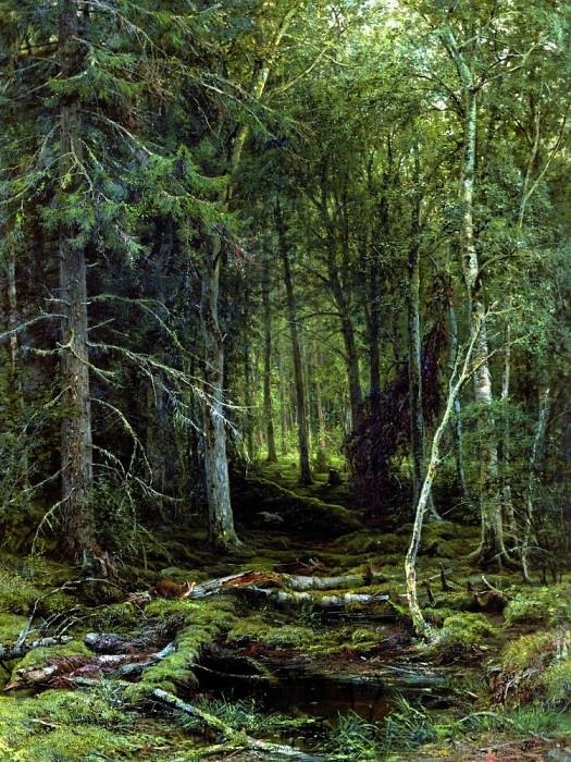 Лесная глушь 1872 209х161