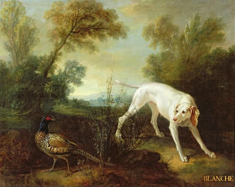 Бланш, сука королевской охотничьей стаи, 1724