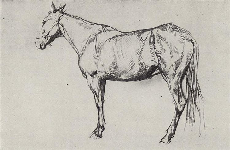 Лошадь, 1884