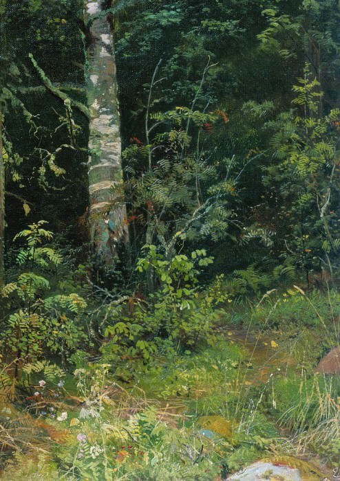 Берёза и рябинки 1878 38х28