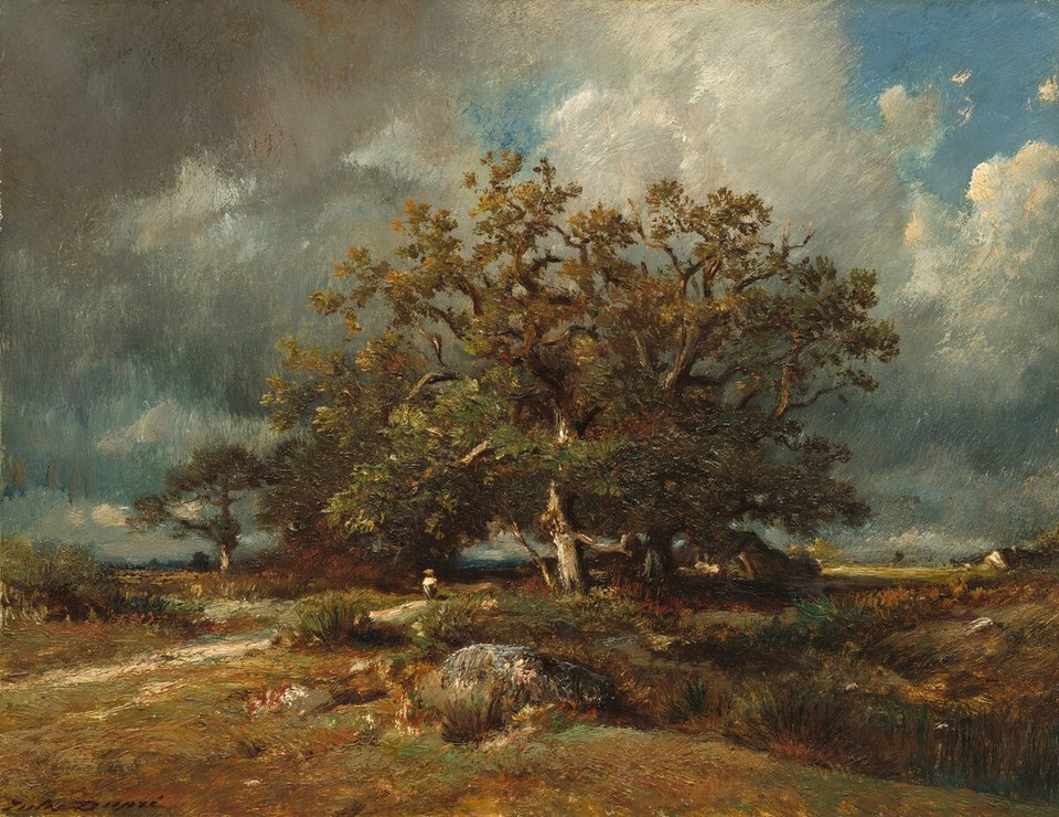Старый Дуб