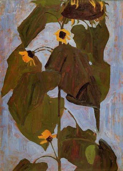 Подсолнух, 1908