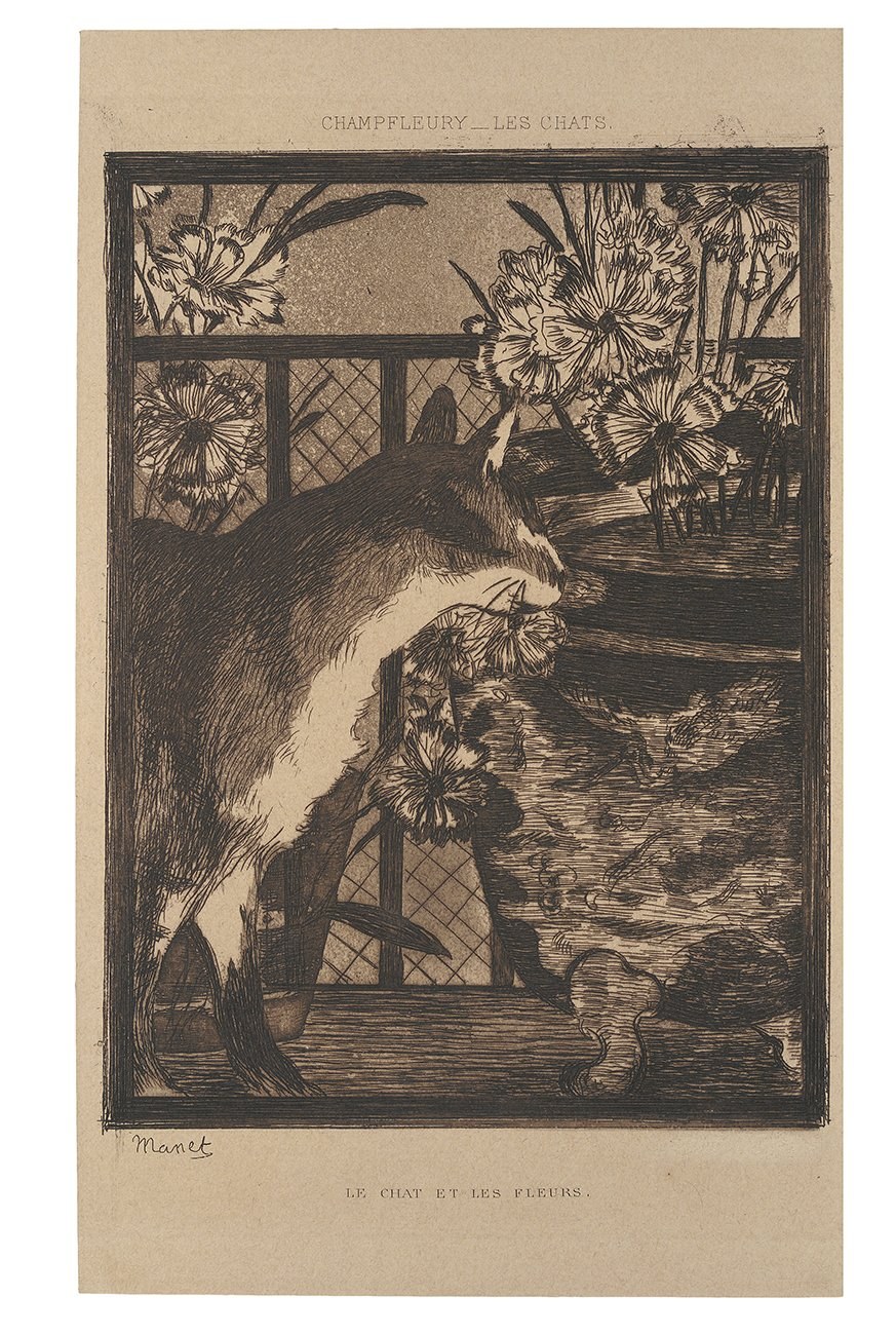 Le Chat et les fleurs (Кошка и цветы)