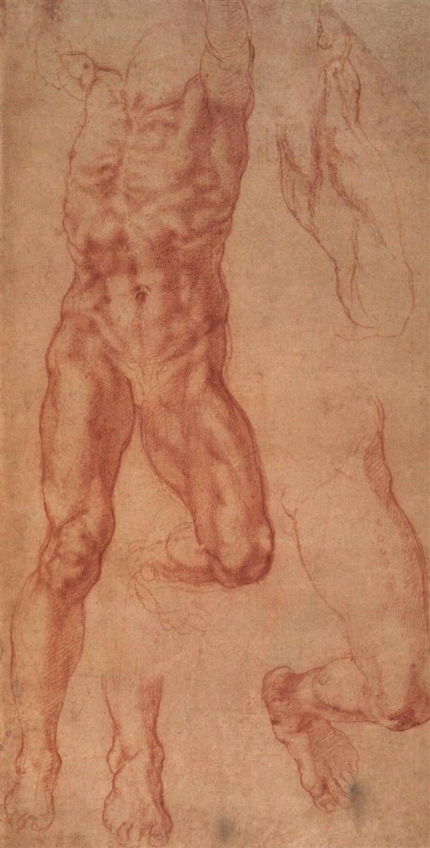 Этюд Амана, c.1508
