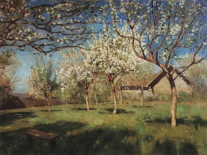 Цветущие яблони4. 1896