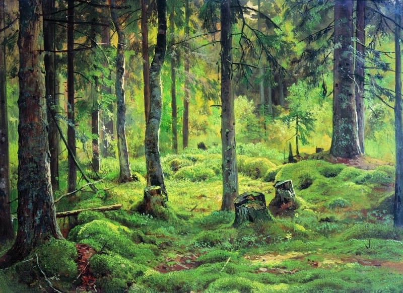 Валежник . Этюд 1893
