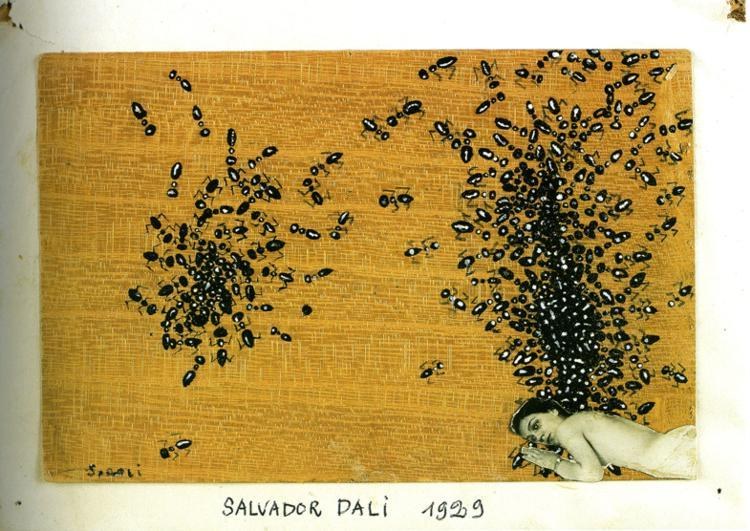 Муравьи, 1929