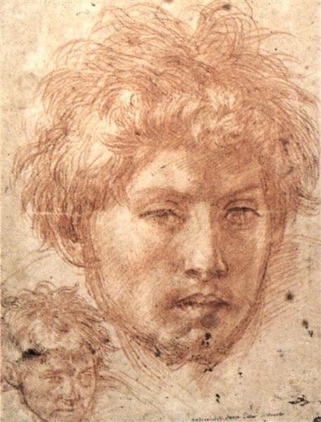 Голова юноши, 1520