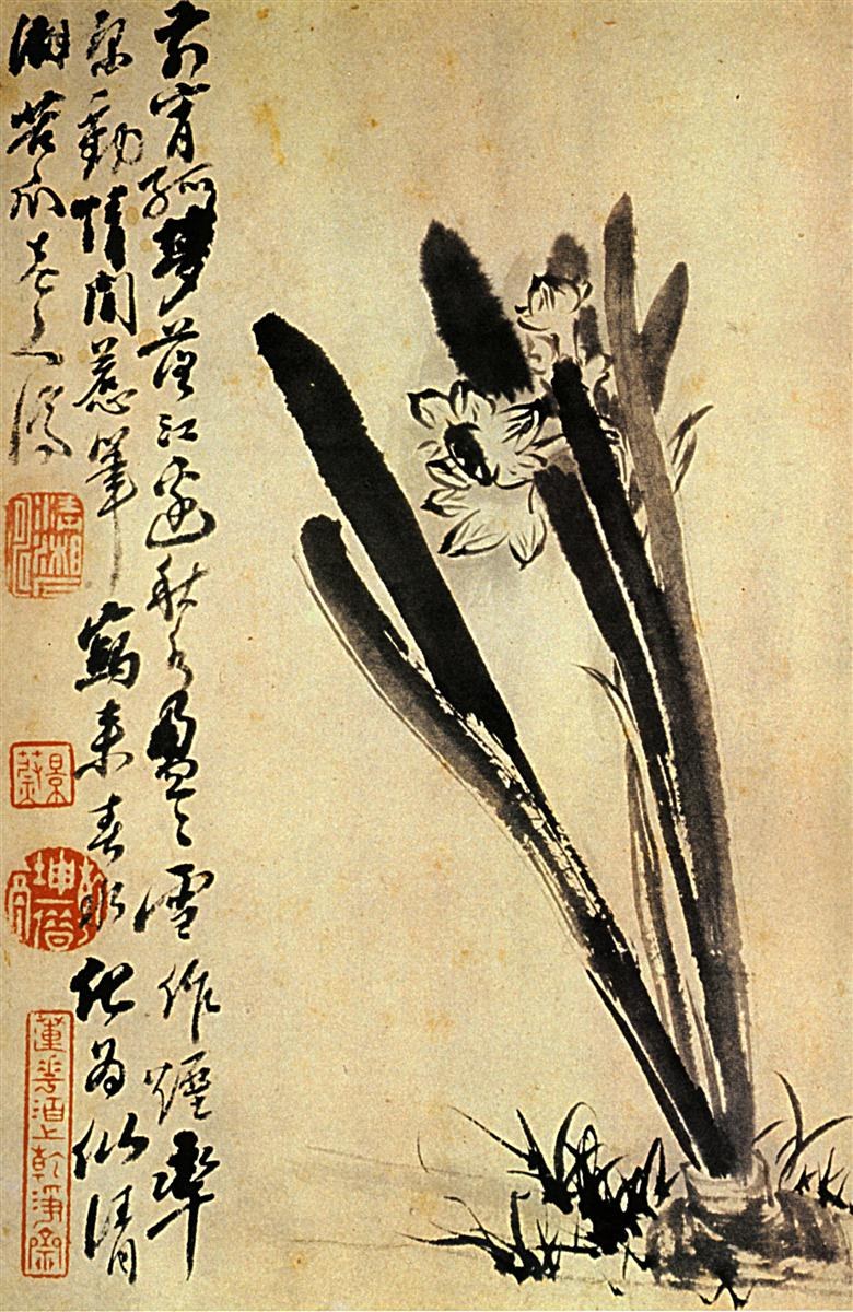 Нарциссы, 1694 - Ситао