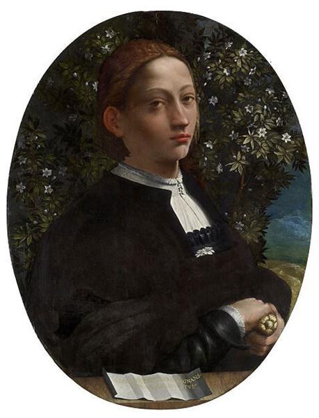 Портрет юноши, вероятно, Лукреции Борджиа, 1516