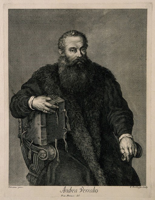 Портрет Андреаса Везалия (1514–1564), фламандского анатома.