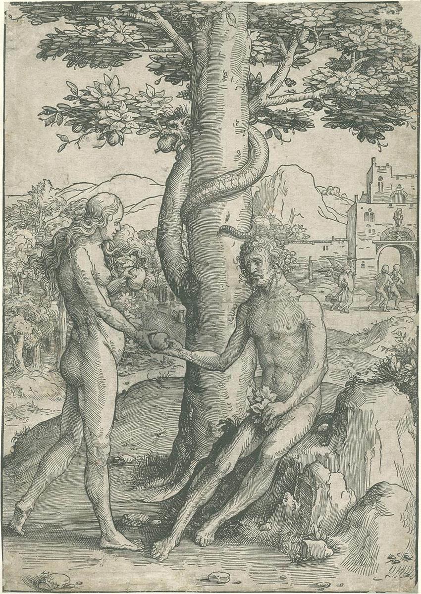 Падение, 1516