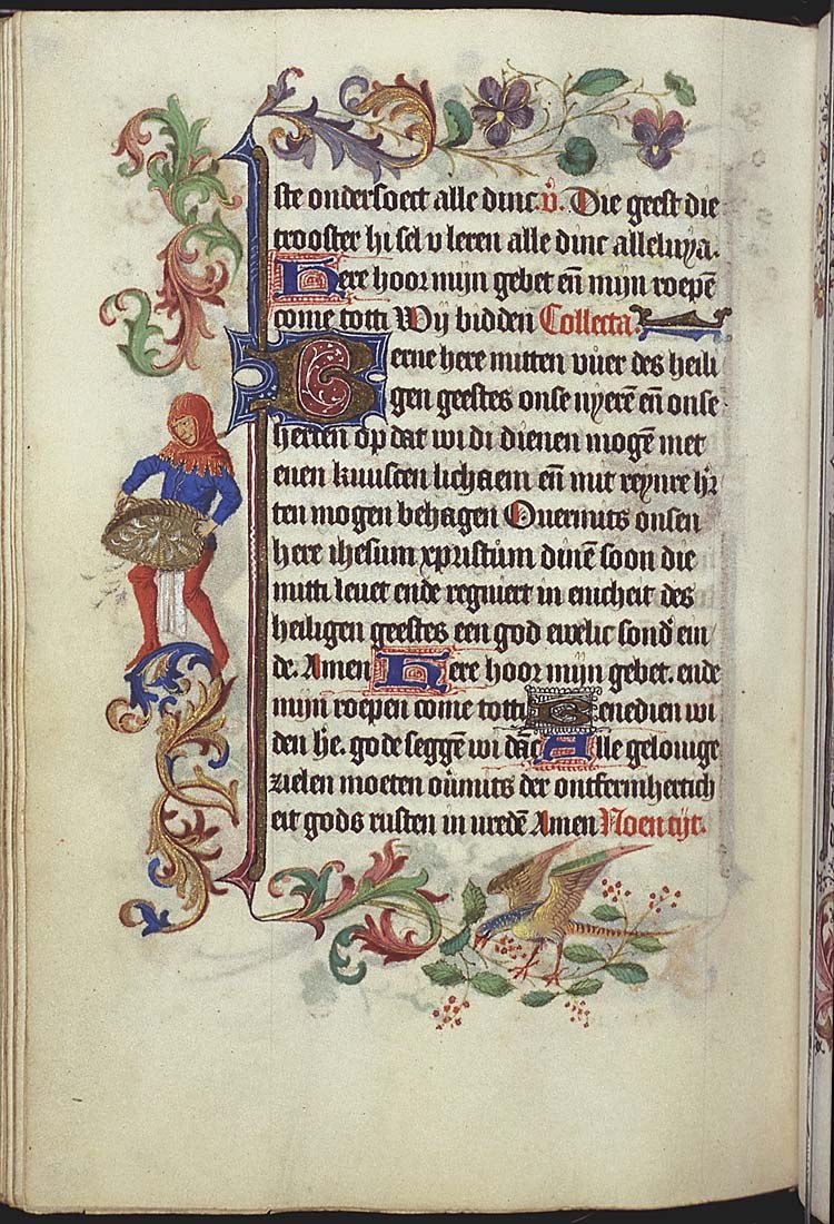 Мужчина веет перья