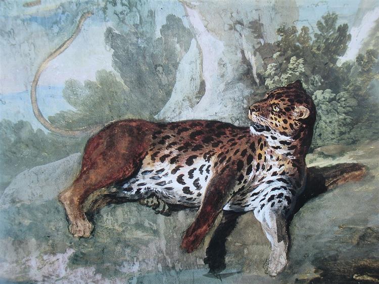 Этюд леопарда, c.1732