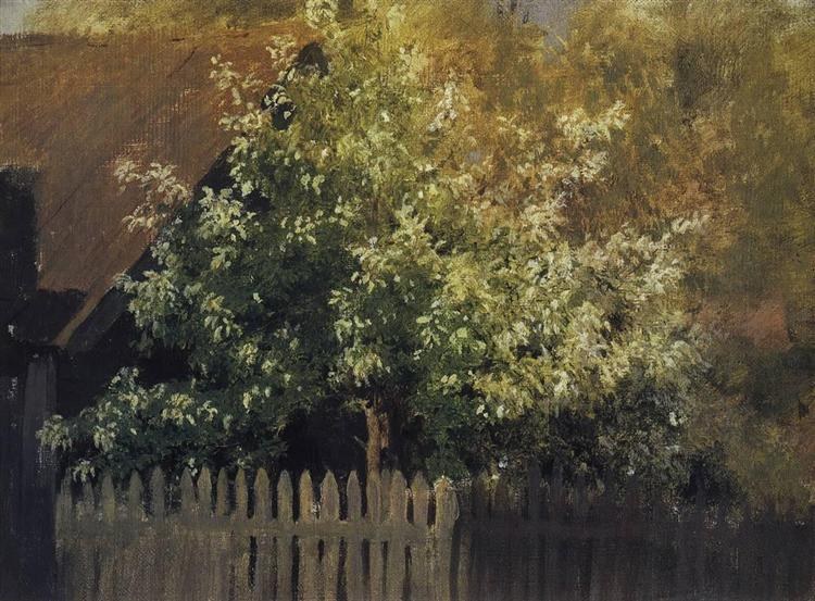 Черемуха, c.1881
