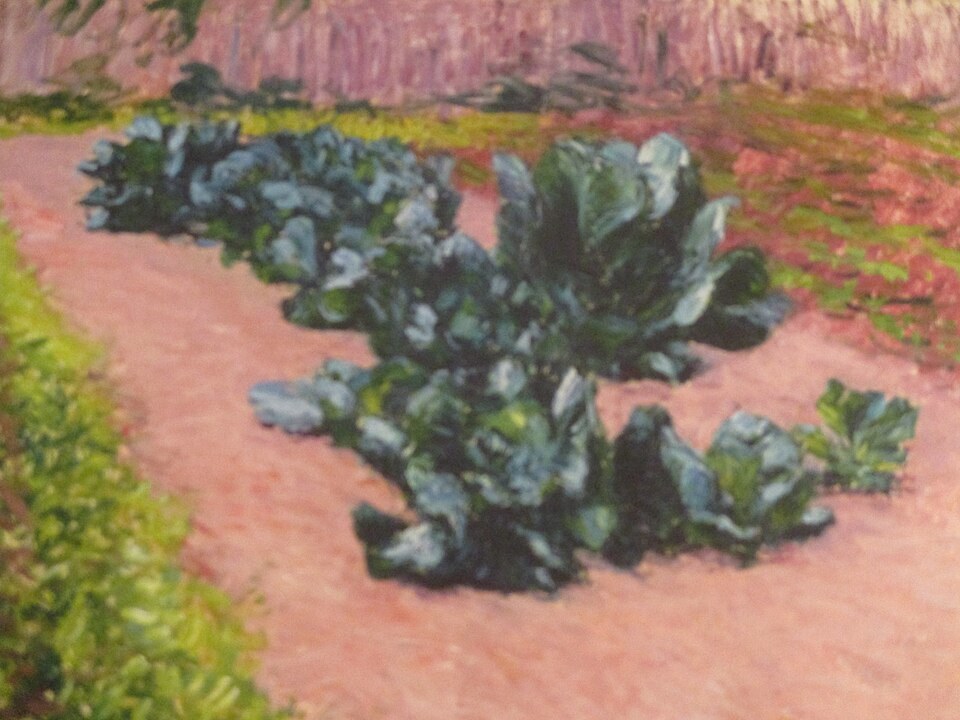 капуста