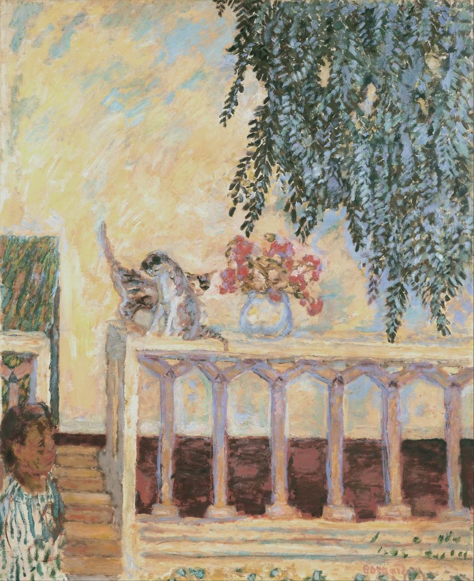 Кошки на перилах