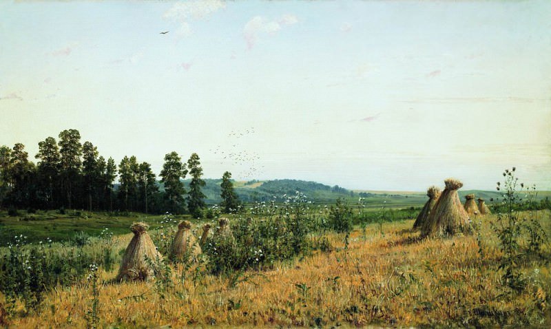 Сжатое поле. Полесский пейзаж 1884 71х117