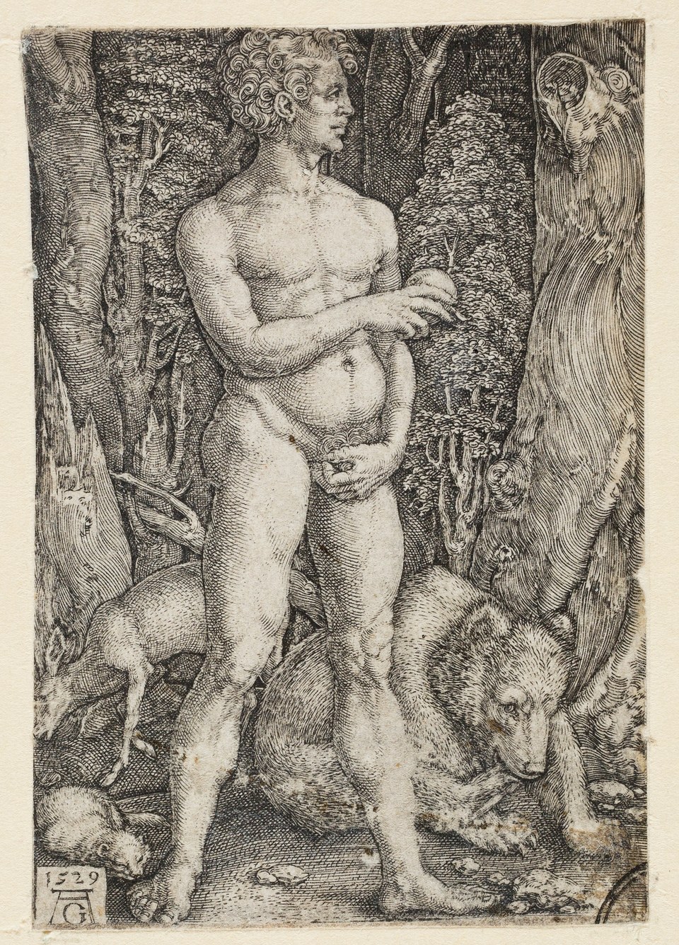 Адам