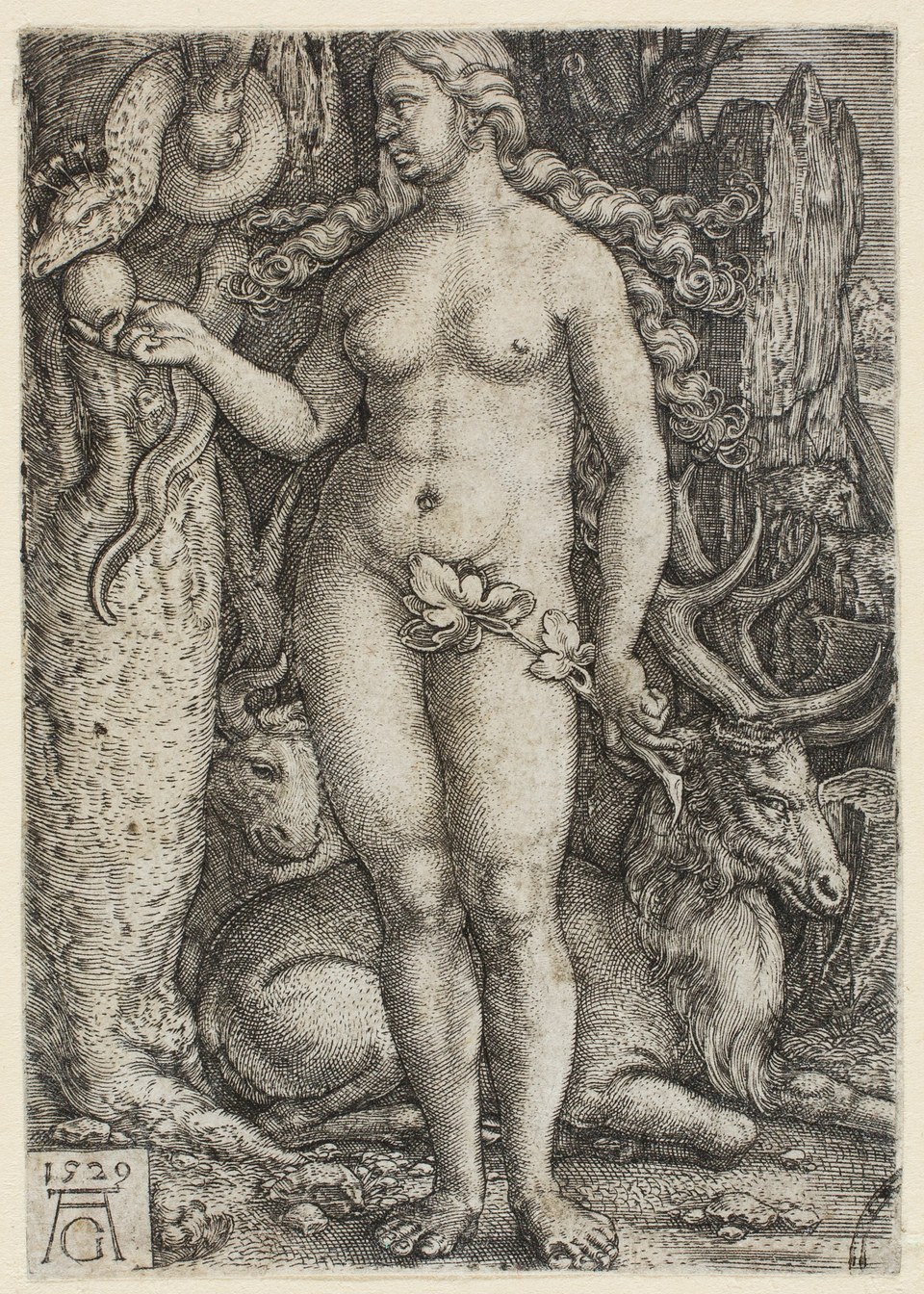 Eva
