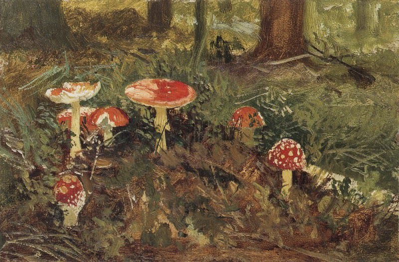 Мухоморы. Этюд 1878-1879 12х19