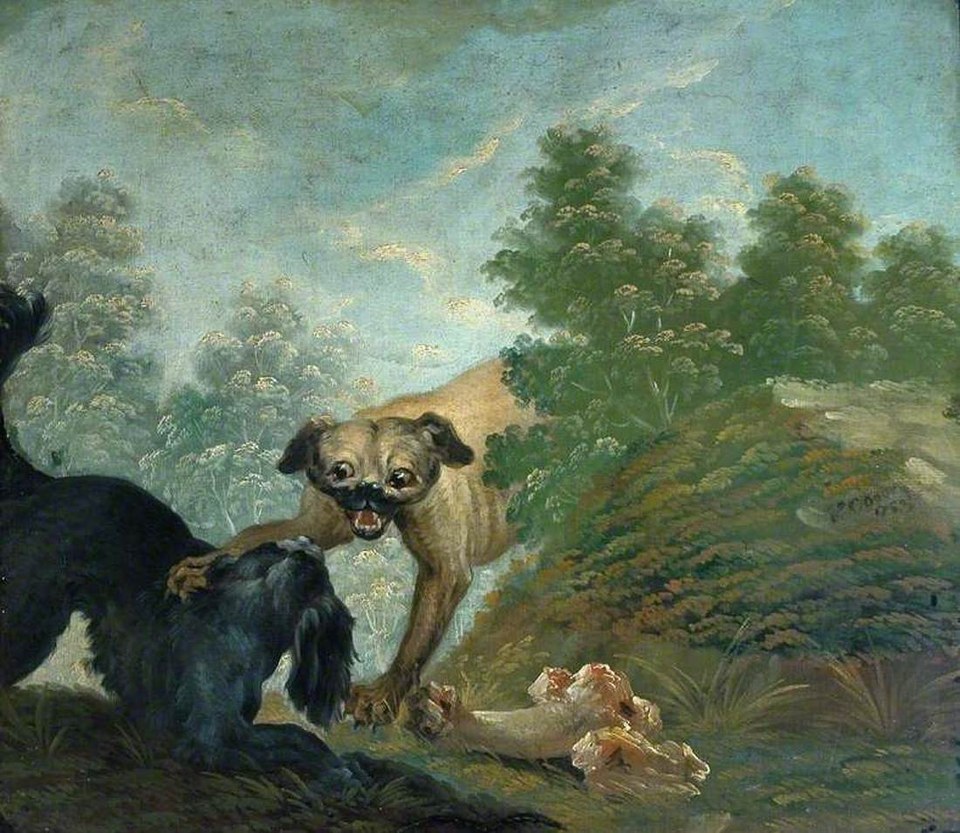 Две собаки дерутся из-за кости