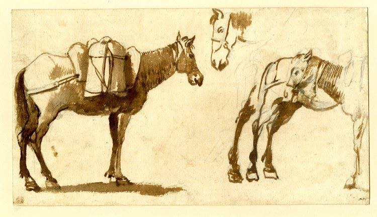 Рисунок мулов, в том числе один в полный рост, 1630 - 1640