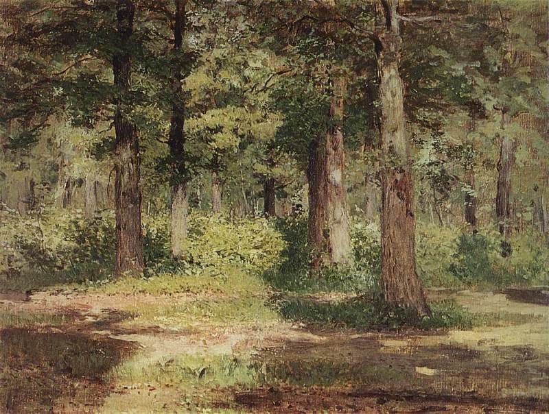 Лес. Солнечный день. . 1883-1884