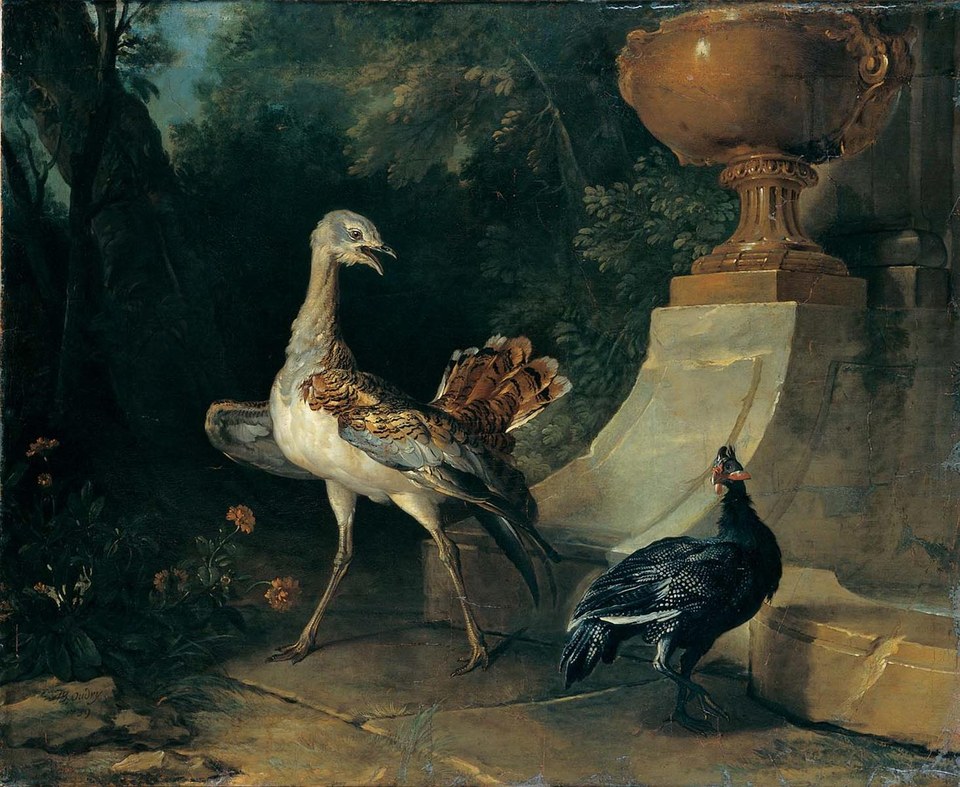 Дрофа и цесарка, 1739
