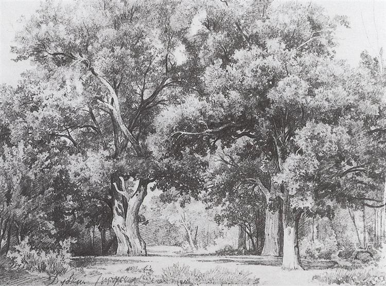 Дубы, 1857 - Иван Шишкин