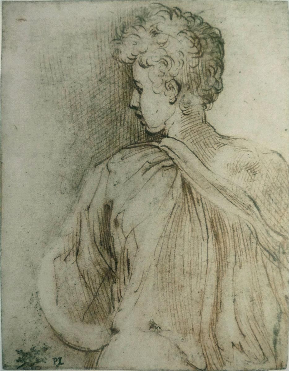 Молодой человек сзади, лицо в профиль, c.1520 - Пармиджанино