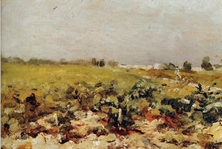 Клейран. Вид на Виньяров, 1880