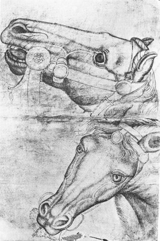 Этюд с лошадиными головами, 1433