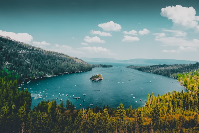 Абстракция «Цветной ветер»